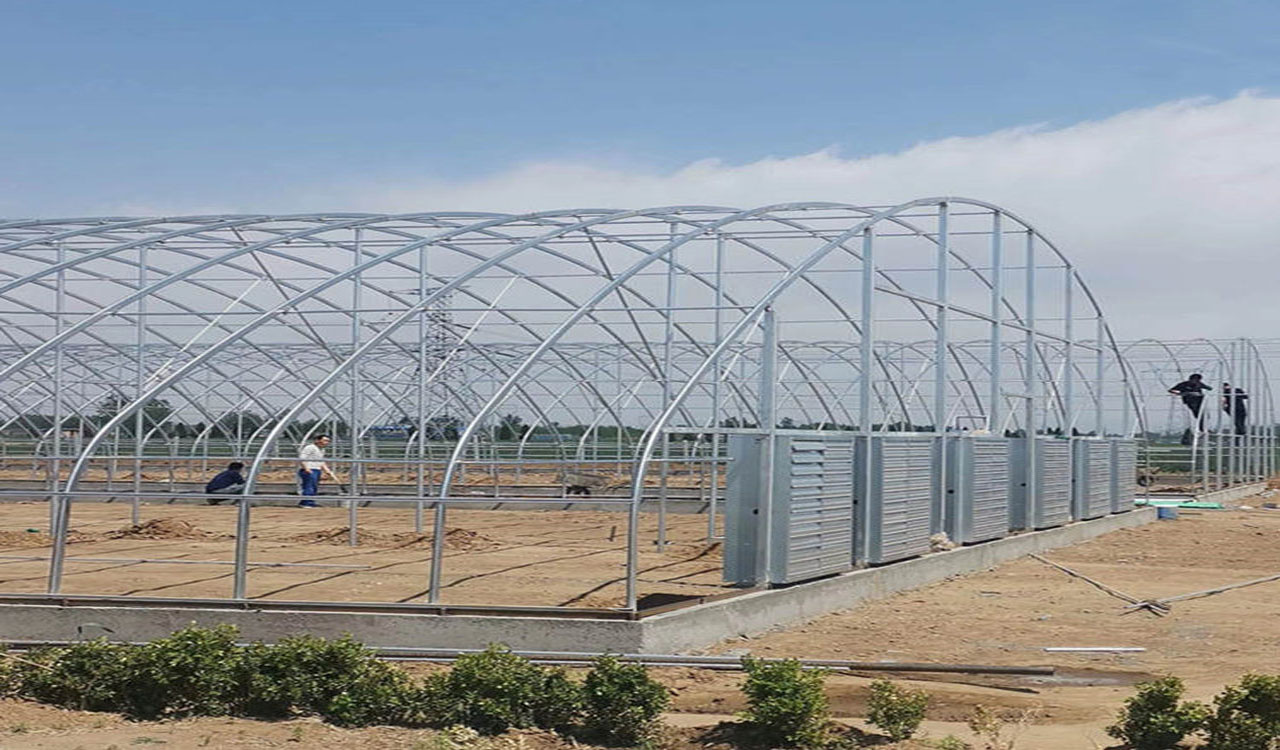 Tunnel Greenhouse